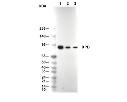 F9488-wb