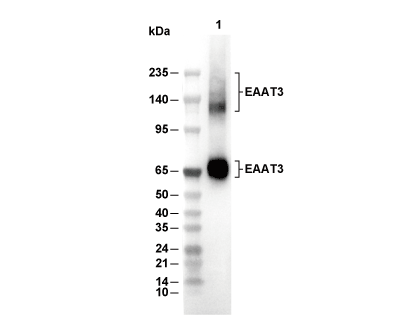 F9677-wb