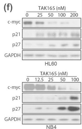S2216-WB2