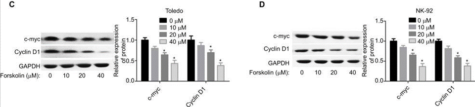 Forskolin (Colforsin) | 99.20%(HPLC) | In Stock | cAMP activator