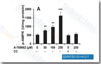 Concentration-dependent effect of synthetic AMPK stimulator, A-769662, applied for 10 min on phosphorylated &alpha; subunit of AMPK. AMPK inhibitor (compound C, CC) was added to some samples at 10 uM. **p < 0.01, ***p < 0.001 vs. sample without A-769662 by ANOVA and Tukey post hoc test.