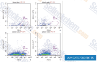 A2102-Anti-mouse-CD8alpha-InVivo-6