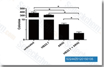 Colony formation assay showed significant inhibition following HB22.7 and AR42 treatment. Raji cells in semi-solid medium were treated with AR42 (0.25 uM), HB22.7 (0.4 ug/ml), or both. AR42 significantly inhibited anchorage-independent growth but the combination treatment further inhibited colony formation, *p<0.001.
