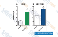 A. ZR75-1 (AR+, ER+) and B. MDA MB 231 (AR-, TNBC) cells were treated with either abiraterone or vehicle, then used as targets in a CTL assay using CEA-specific CD8+ T cells as effector cells at an E:T ratio of 30:1. Error bars indicate mean &plusmn; S.E.M. for quadruplicate measurements. Statistical analyses were done by Student's t-test, * = P < 0.01 vs. vehicle control. Data are representative of 2 independent experiments.