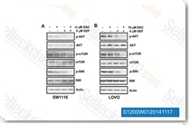 Verified customer review of Decitabine