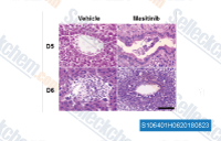 Masitinib customer review