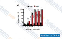 Effect of matrix stiffness on the susceptibility of primary HDFs to apoptosis induced by inhibition of mechanotransduction pathways. HDFs (primary human dermal fibroblasts) were cultured on collagen-coated polyacrylamide hydrogels that recapitulated the stiffness of normal (4 kPa) or densely fibrotic (50 kPa) skin for 24 hours and treated with or without the agents indicated for an additional 48 hours. Apoptosis was assessed by annexin V staining. Data are means &plusmn; SD from three independent experiments. P value was determined by Student&rsquo;s t test.