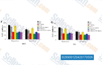 (F,G) The migration and invasion ability of 5637 and T24 cells transfected with PF-562271 and WT-METTL13 was examined. The number of cells was quantified and is shown in a column graph.