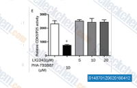 (E) LX2343 had no effects on CDK5/p25 activity in vitro. PHA-793887: CDK5 inhibitor (one-way ANOVA, Dunnett's multiple comparison test, P=0.8967 versus DMSO; PHA-793887, t test, **P<0.01 versus DMSO).