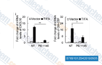 U266 cells infected with lentivirus expressing TIFA (pHBLV-TIFA) or control (pHBLV) were further treated with PS-1145. The whole cell lysate and mRNA from cells described above were then prepared for quantitative RT-PCR analysis. Data of quantitative RT-PCR analysis were represented as the mean &plusmn; S.D. from three independent experiments. *, p < 0.05; **, p < 0.01 (Student's t test).