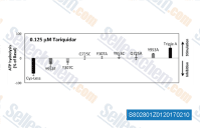 Mutations of the polar residues Y307, Q725 and Y953 to alanine, cysteine and phenylalanine (Y953F only) were tested for their effect on the modulation of basal ATPase activity of P-gp by drugs. Basal activity of cysless WT and mutant P-gps was taken as zero, inhibition was calculated as percentage of the basal activity and shown with downward bars (negative values), while stimulation was calculated as percentage of the basal activity and shown with upward bars (positive values). Bars are colored black for cysless WT or triple A (Y307A/Q725A/Y953A) while they are grey for the single mutants (Y307A/C, Q725A/C, Y953A/C/F). At least three experiments were carried out with duplicate samples for each mutant with indicated compounds, and errors bars denote the standard deviations.