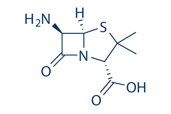6-Aminopenicillanic acid Chemical Structure