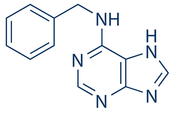 500mg-100g6-Benzylaminopurine 99% TGCytokinin 