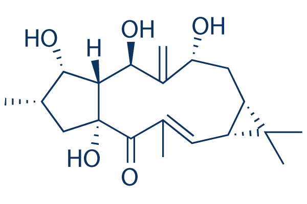 7β-Hydroxylathyrol Chemical Structure