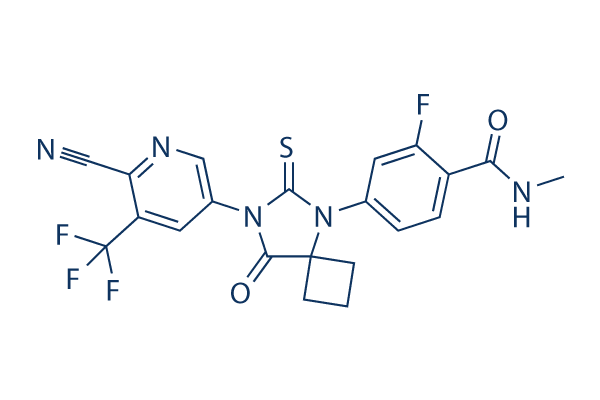 
		Apalutamide (ARN-509) | ≥99%(HPLC) | Selleck | Androgen Receptor inhibitor
