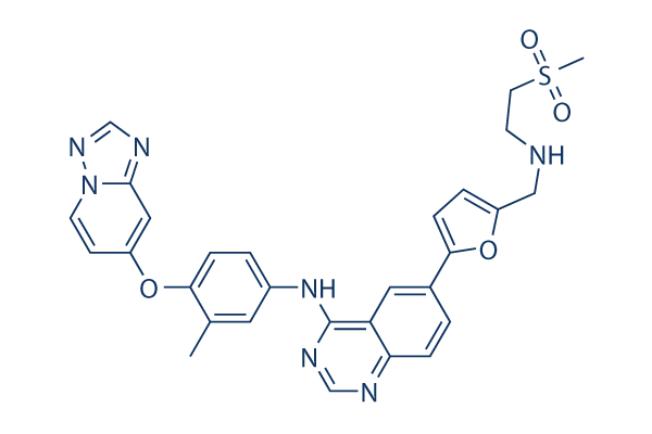 HER2-Inhibitor-1 Chemical Structure