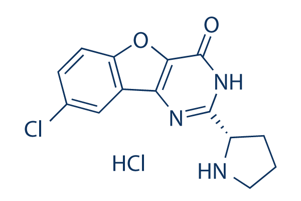 XL413 (BMS-863233) Chemical Structure