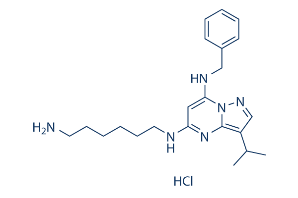 BS-181 HCl Chemical Structure