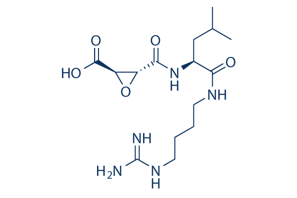
		E-64 | ≥99%(HPLC) | Selleck | Cysteine Protease inhibitor
