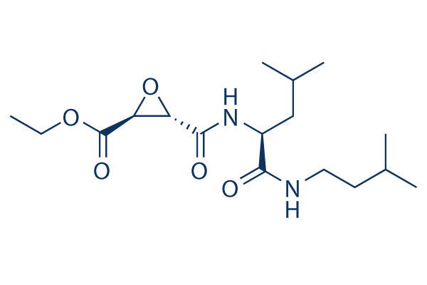 
		Aloxistatin (E64d) | ≥99%(HPLC) | Selleck | Cysteine Protease inhibitor
