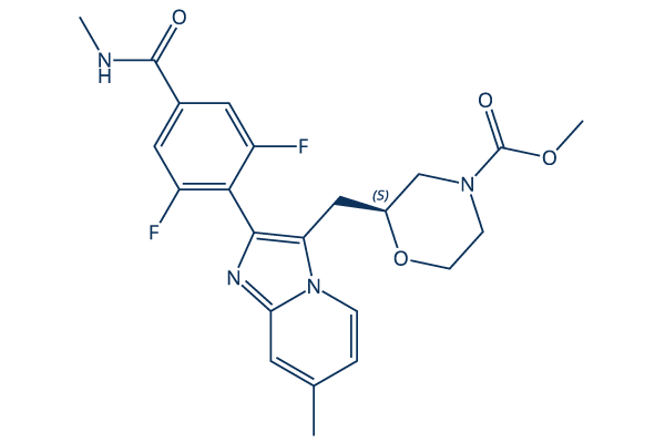 Camlipixant P2 Receptor antagonist Chemical Structure