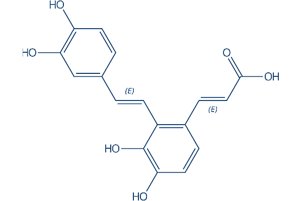 Salvianolic acid F Ras inhibitor Chemical Structure