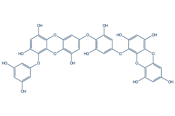 Dieckol BACE inhibitor Chemical Structure