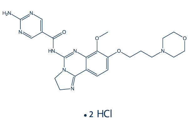 Copanlisib dihydrochloride Chemical Structure