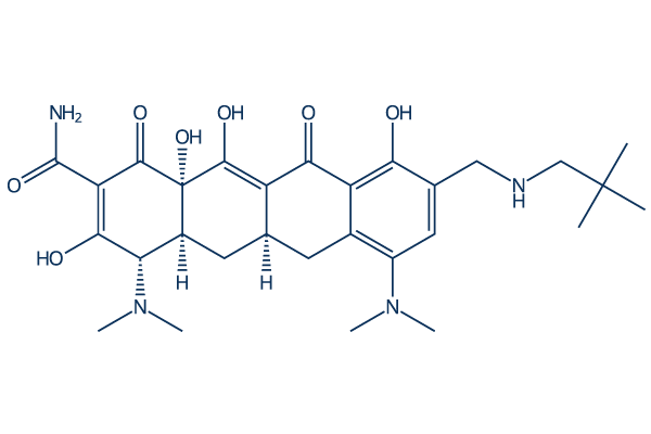 Omadacycline Chemical Structure