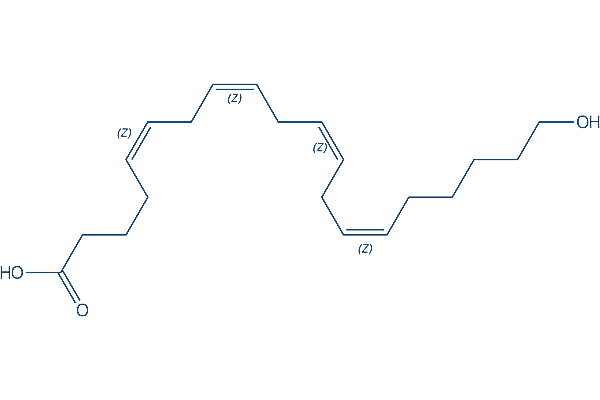 20-HETE CYP450 chemical Chemical Structure