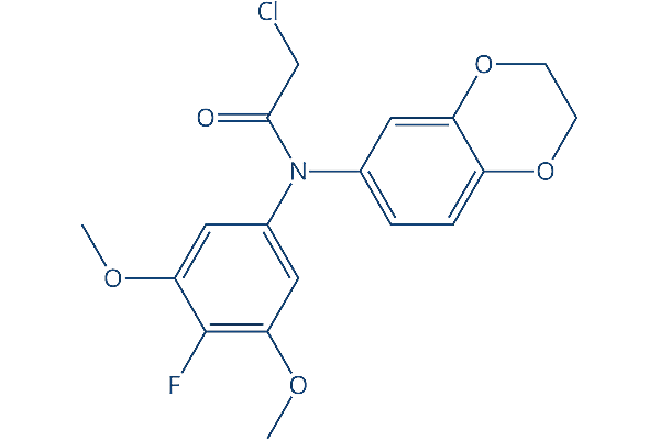 GPX4-IN-5 GPX inhibitor Chemical Structure