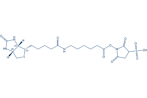 Sulfo-NHS-LC-Biotin sodium Chemical Structure