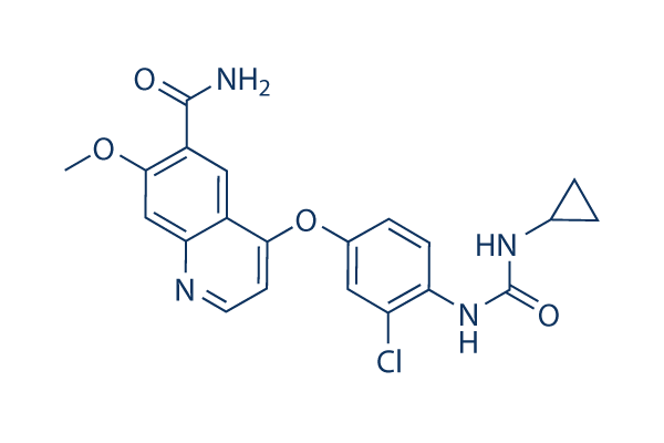 
		Lenvatinib (E7080) | ≥99%(HPLC) | Selleck | VEGFR inhibitor
