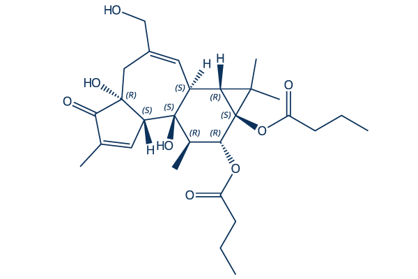 Phorbol 12,13-dibutyrate PKC activator Chemical Structure
