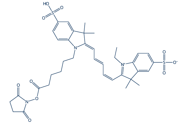 CY5-SE Chemical Structure