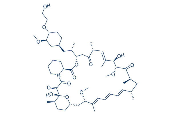 Everolimus (RAD001) | ≥99%(HPLC) | Selleck | mTOR inhibitor