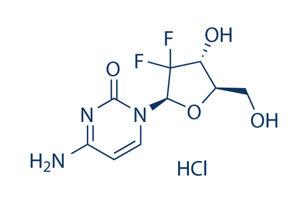 Gemcitabine (LY-188011) HCl | ≥99%(HPLC) | Selleck | DNA/RNA Synthesis inhibitor