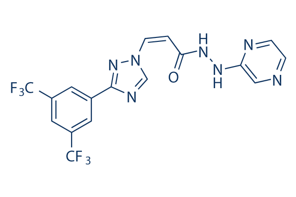 Selinexor (KPT-330) | ≥99%(HPLC) | Selleck | CRM1 inhibitor