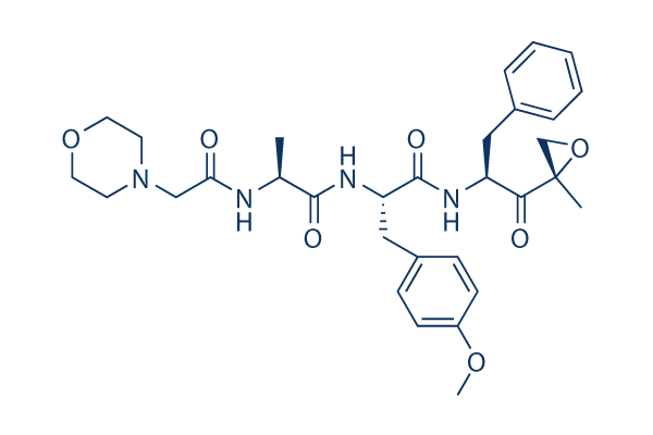 ONX-0914 (PR-957) Chemical Structure