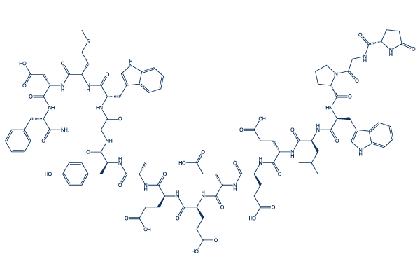 Gastrin I, human Amino-acid Sequence