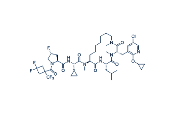 CIRC-014 Amino-acid Sequence