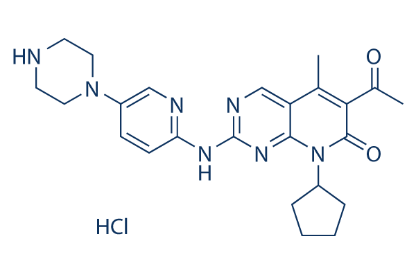 
		Palbociclib (PD-0332991) HCl | ≥99%(HPLC) | Selleck | CDK inhibitor

