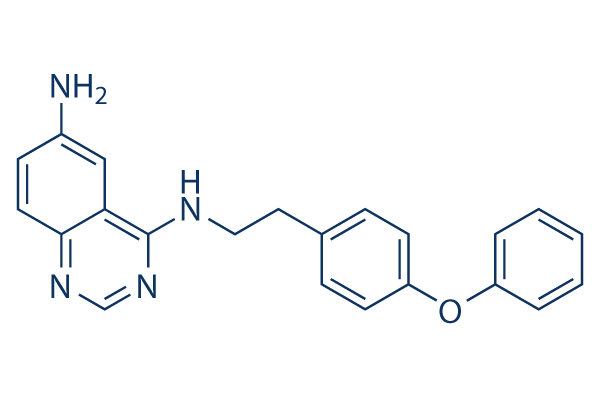 QNZ (EVP4593) Chemical Structure