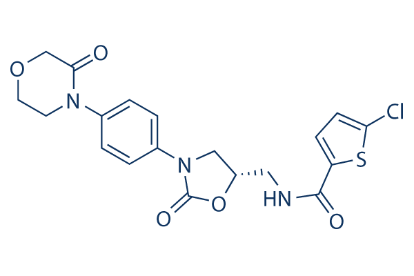 Rivaroxaban (BAY 59-7939) Chemical Structure