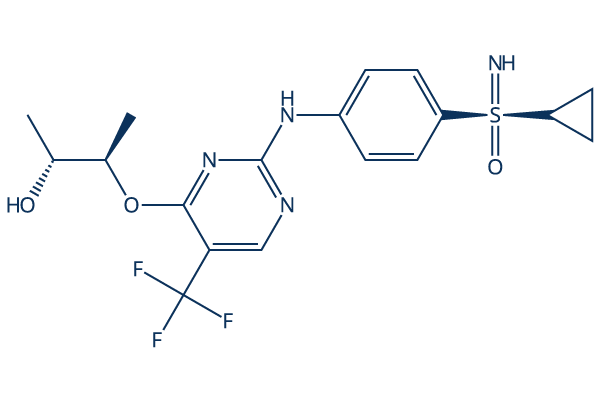 BAY 1000394 Chemical Structure