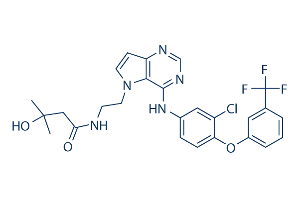TAK-285 Chemical Structure