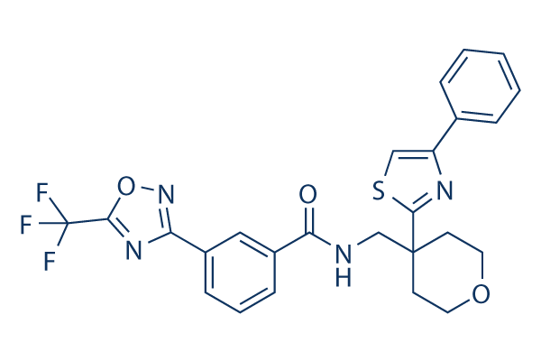 
		TMP269 | ≥99%(HPLC) | Selleck | HDAC inhibitor

