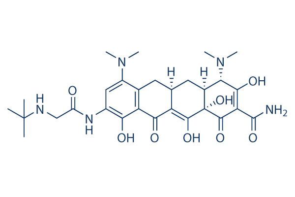 Tigecycline (GAR-936) Chemical Structure