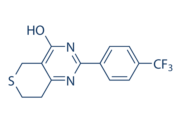 
		XAV-939 | ≥99%(HPLC) | Selleck | PARP inhibitor
