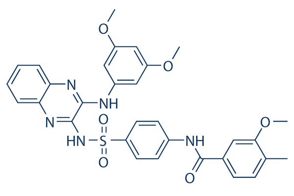 Voxtalisib (XL765) Analogue Chemical Structure
